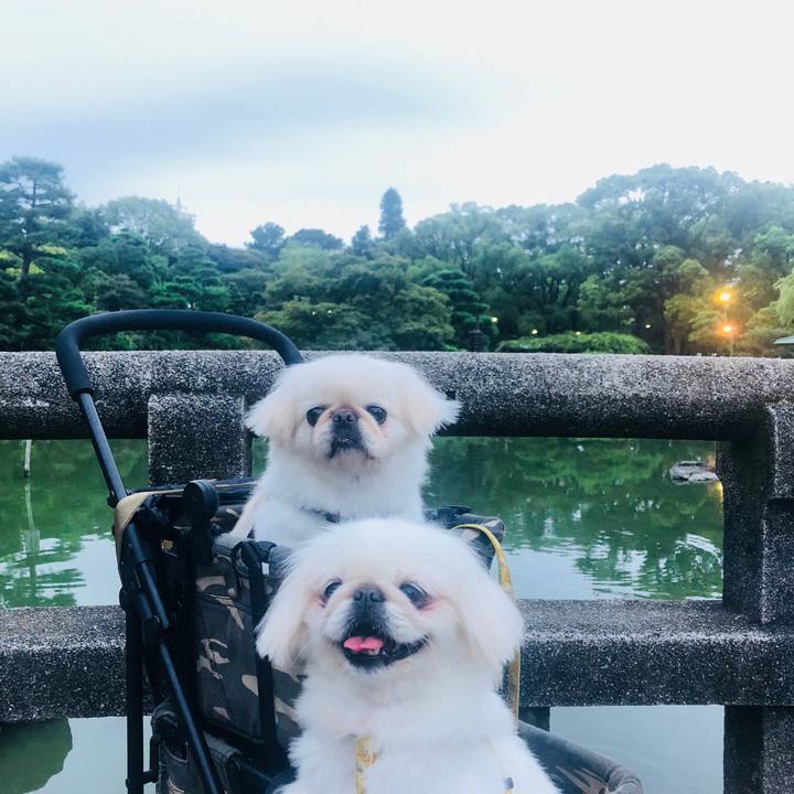 C67e34b9 340a 4f77 a5f8 7cff3f60e610 1599345696243