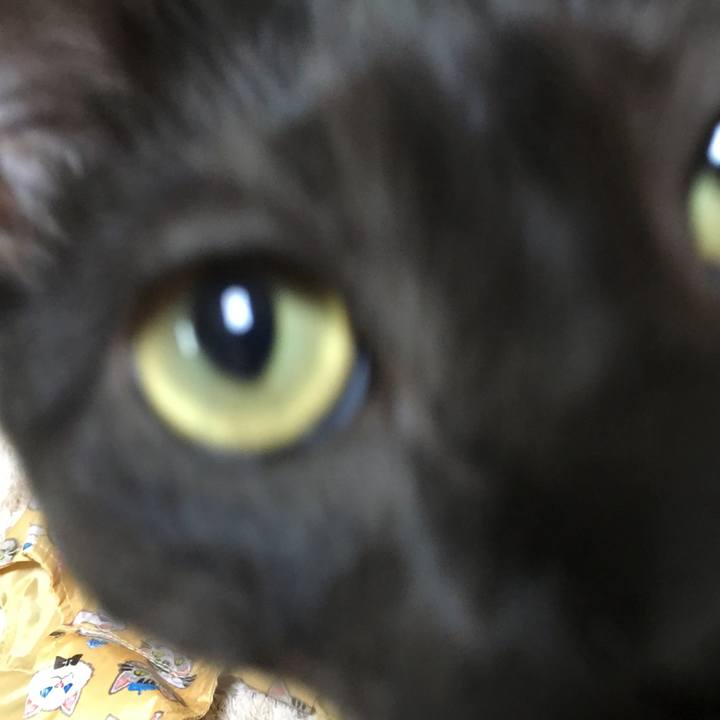 C67e3e14 038d 49e6 88e6 f283f5bed674 1554627062176