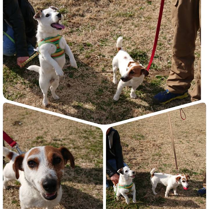 C67e673b 35b2 41b2 90bd c3de2bc2a092 1520072381980