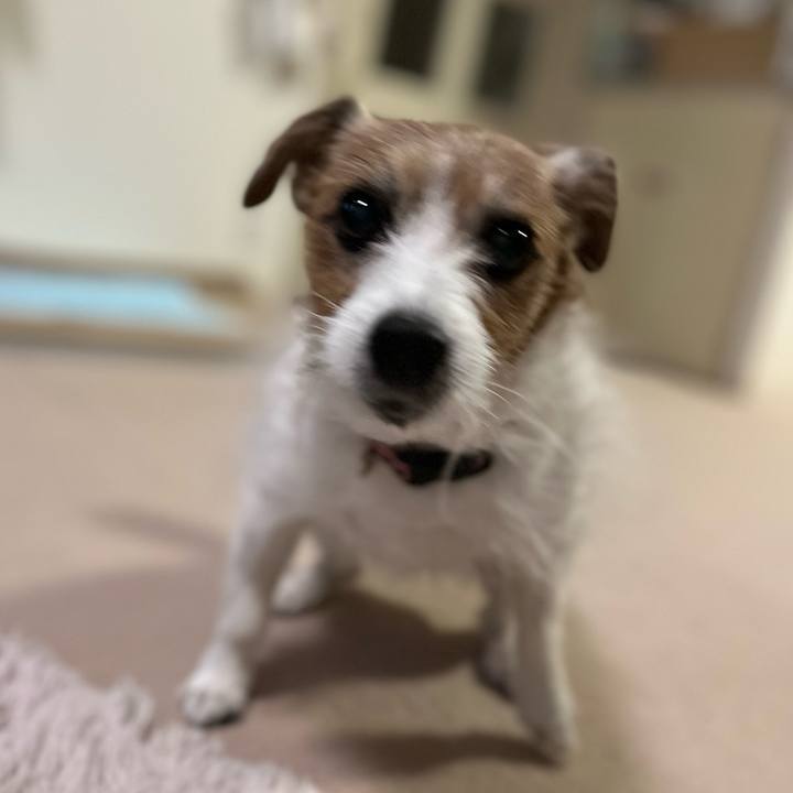 C67ea37e e23f 49cd 8858 746c8c64277e 1709460099624