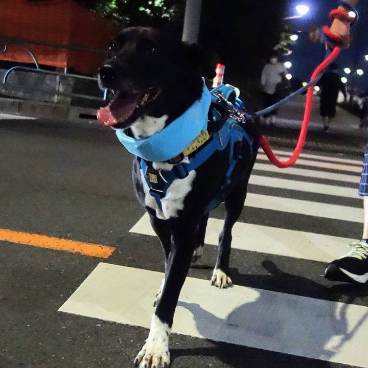 C67ec2a7 e465 4dc5 940b 48e7b41399e7 1629716933067