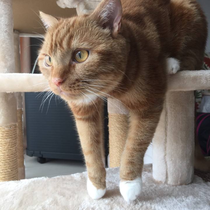 C67ed6f2 ae02 41a5 a62c 6e7964698841 1561765818894