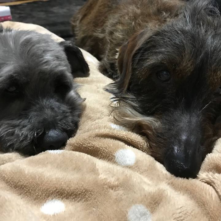 C67edaf9 a1aa 4578 9efa 40fe8b951378 1523621810105