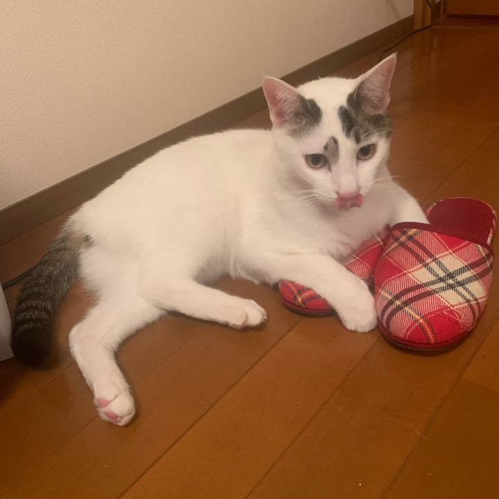 C67ef4ee cf2e 4ee3 aedc 087e30f20299 1611987568724