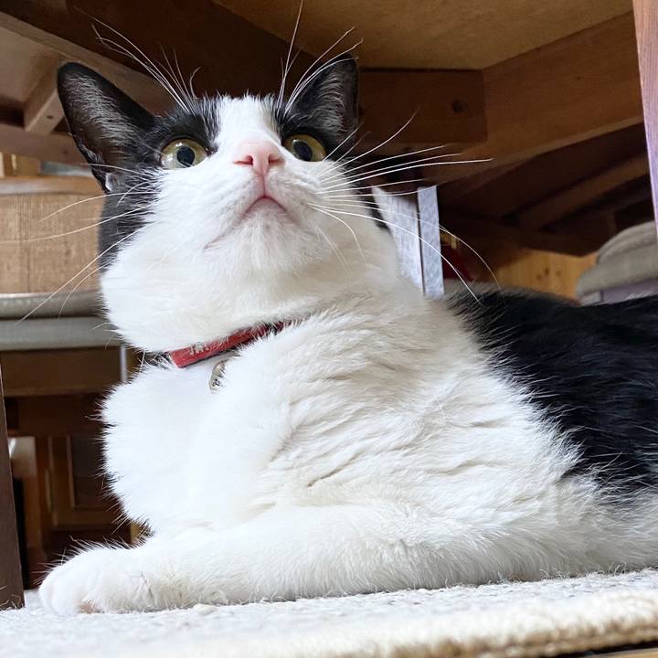 C67f0cdf 3834 4b30 bd96 a3880c04bc33 1597278922562