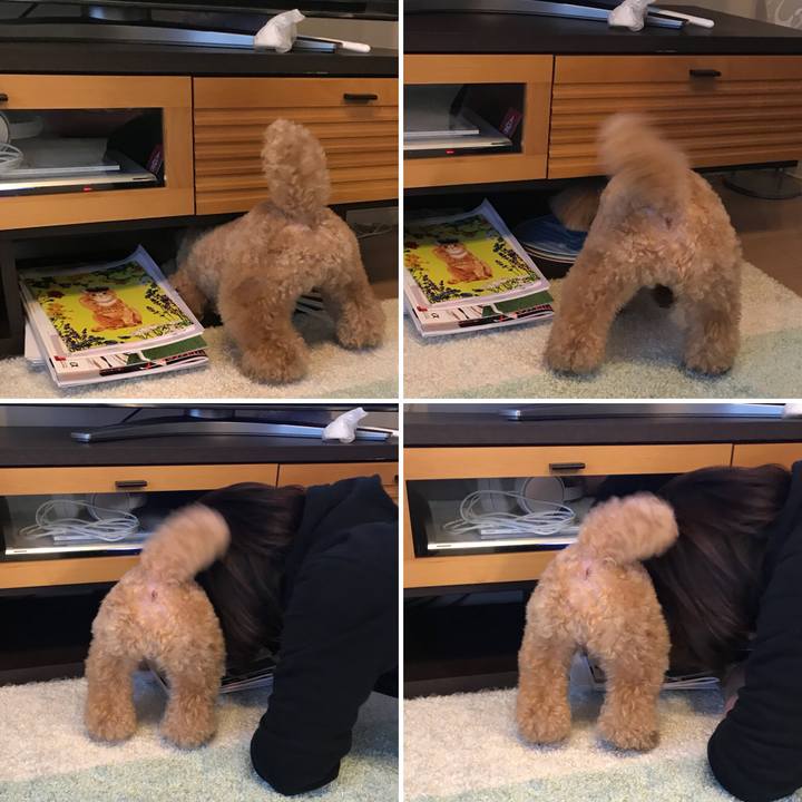 C67f127c 2d14 4016 a995 881b5b528305 1514988368645