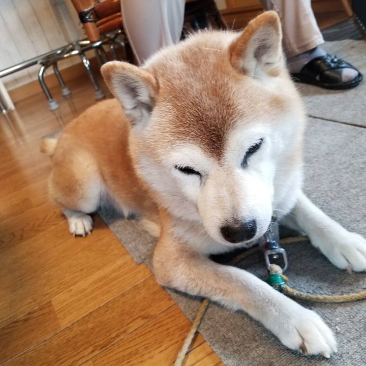 C67f12d4 b37e 46d2 9e99 7284bda1a2f5 1705026144856