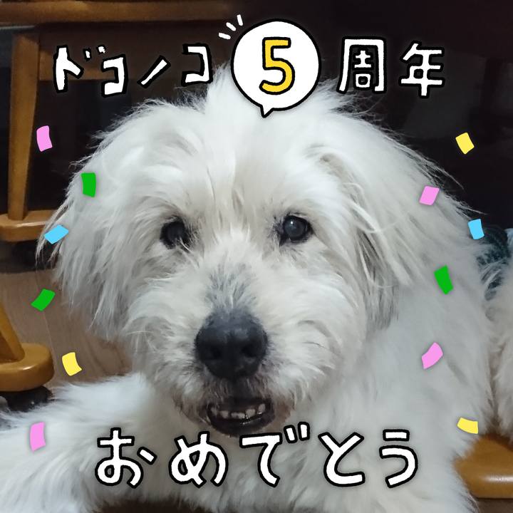 C67f1da0 de9a 455f a816 9aff26021cdb 1622931509785