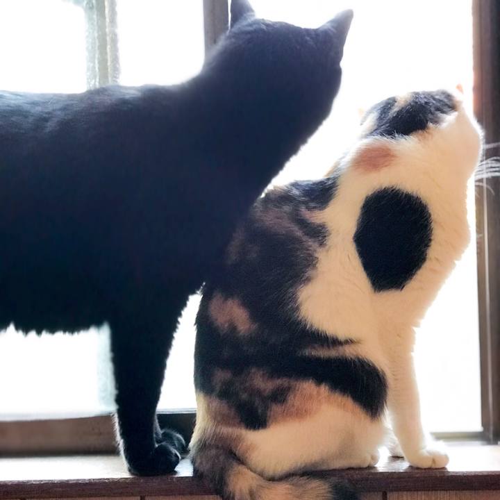 C67f307e 9b9e 4099 bd4e eec20b3581c7 1523324970063