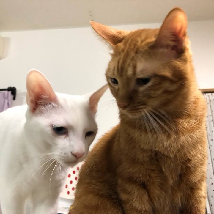 C67f4548 3abb 4733 b8a4 807cbad3685f 1548325152158