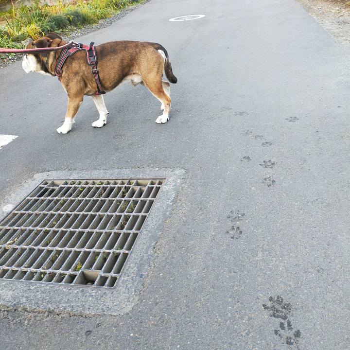 C67f4e26 a691 4841 8b14 94e2f24a42dc 1636720750463