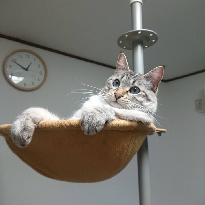 C67f5911 393d 45f4 ba92 0bb2b44b3cb4 1554047616980