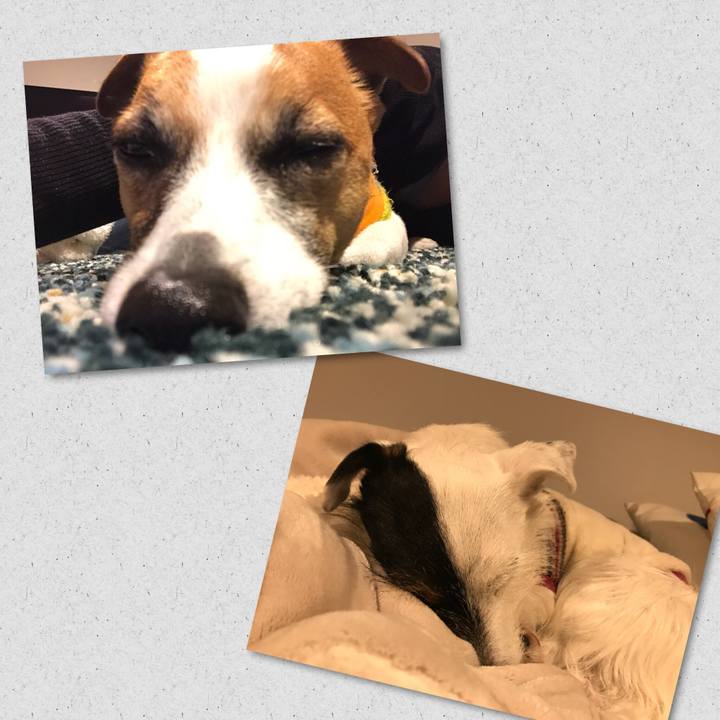 C67f5e84 5a87 4430 bcbd d11ef5fa81d6 1516968237198