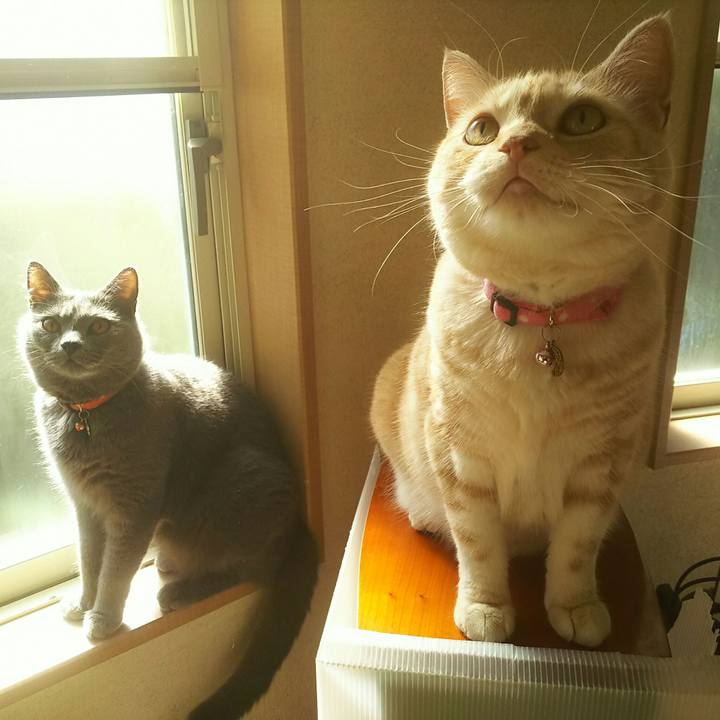 C67f6495 3579 4d25 a69a b7b4b626309f 1535240637950