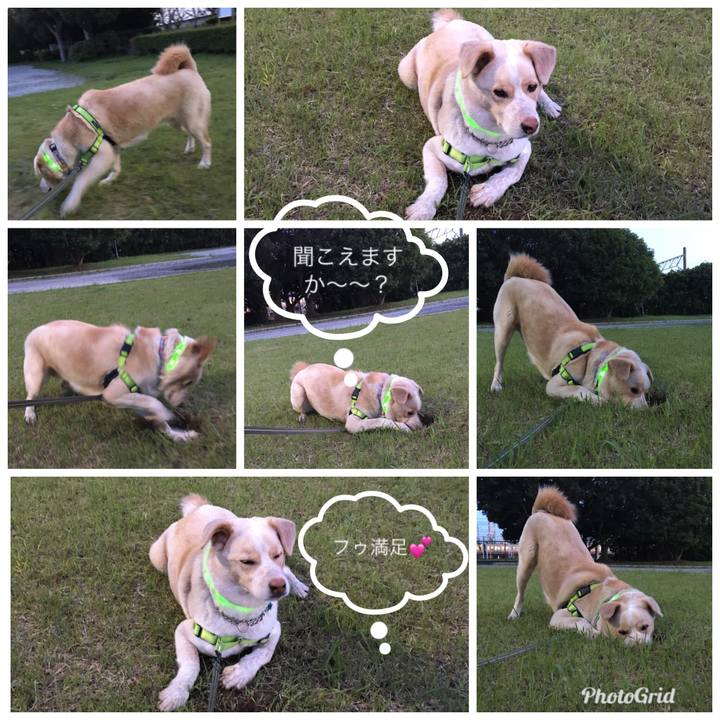 C67f72dc 4819 40a6 870e 7682c2c38310 1525949491745