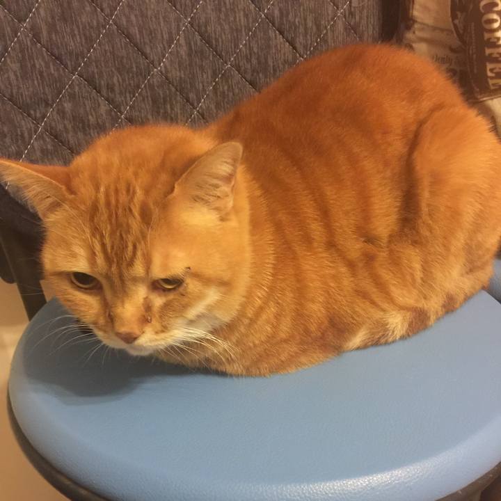 C67fbb5a 2406 4b2f aa03 697162dc98d3 1553873783475