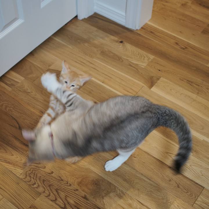 C67fe2f8 98a3 45b6 8cc7 f55a6875d1e7 1572746810031