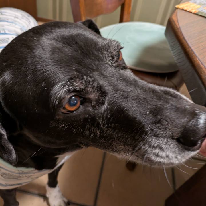 C6802604 394e 47b0 8ede 8062d7afc4af 1737678731251