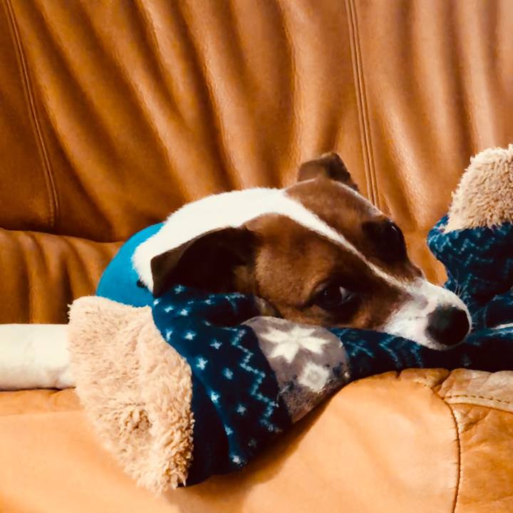 C6802c92 718a 4256 b0a6 442c099ba011 1528847852844