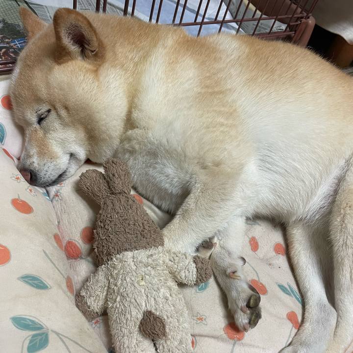 C6803c9d 3338 466a a5d6 63512ec50d15 1759407723836