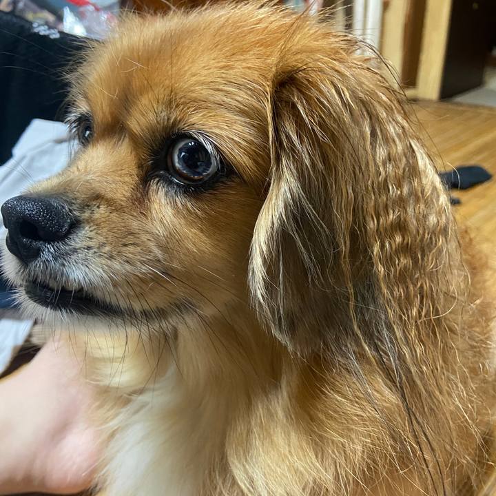 C68070aa 1c7a 4459 9b44 75c8227866fb 1665364543905