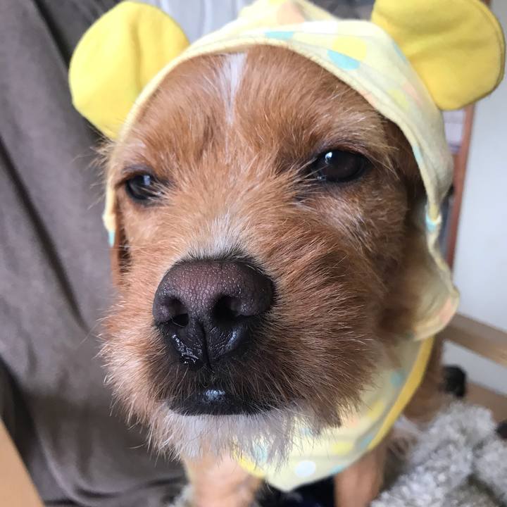 C68090b3 4464 43a4 a5df 0db89619a896 1557842758629