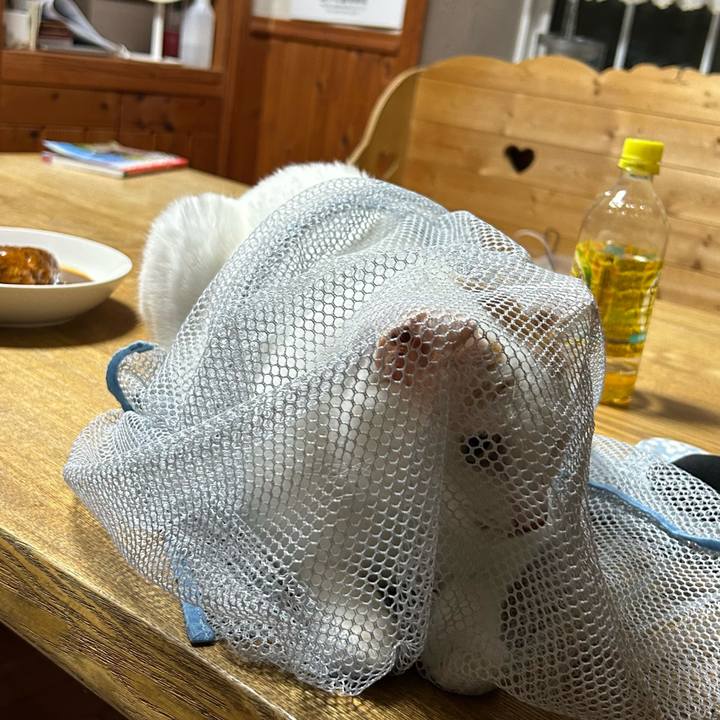 C68098b9 b66b 4e91 810e d7fd9cad1ea5 1693839550990