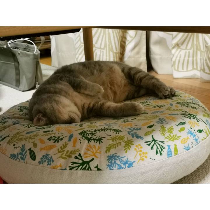 C680ac27 ab6f 4ccd 8d6c 84ced025d3e0 1661046146350