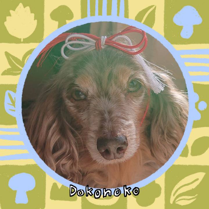 C680b314 bb0c 4790 9a9b 2e7791f31813 1761270539953