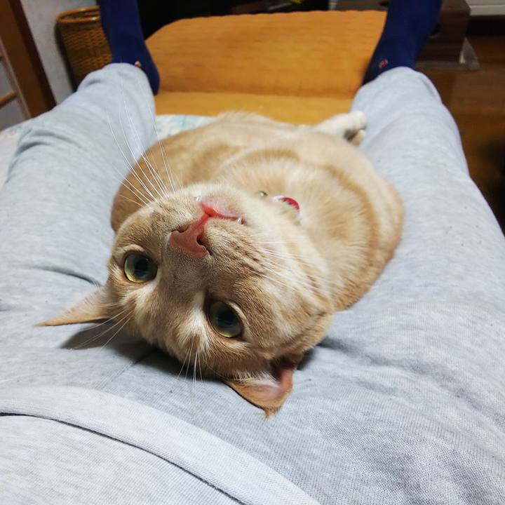 C68101ec f179 4f40 b484 bee85ec3ad7b 1586080678441