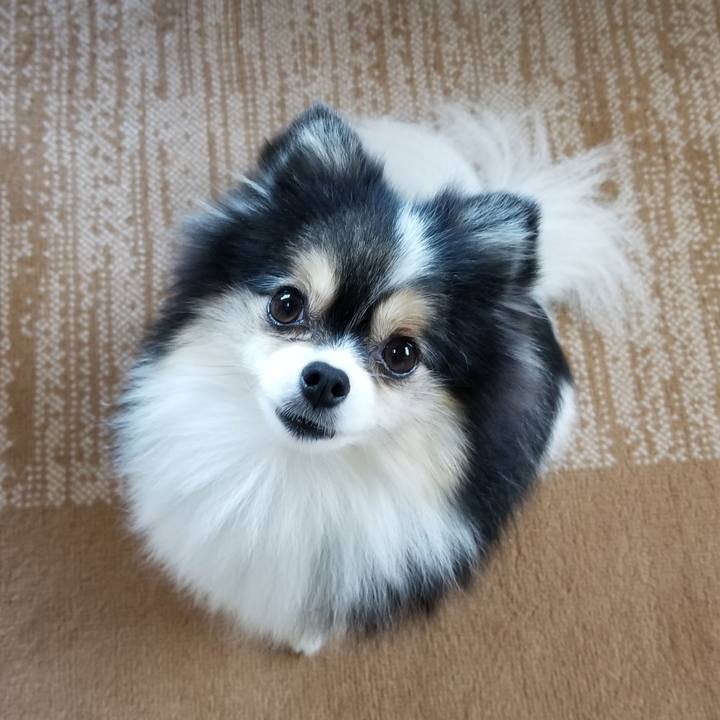 C6811830 d25d 4cc0 9d56 1726106210e3 1570921059508