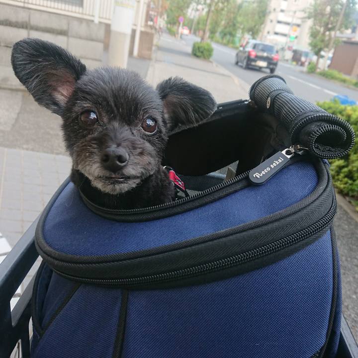 C6814160 e474 470d b26c 3d4bb11f3102 1570349427788