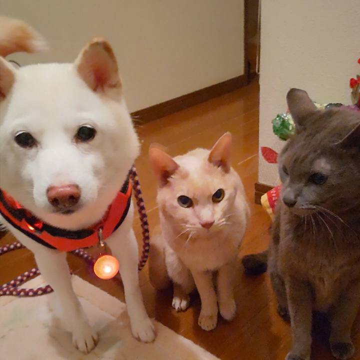 C6814ec3 3d50 44b9 9f92 b5e313195c93 1642236450512