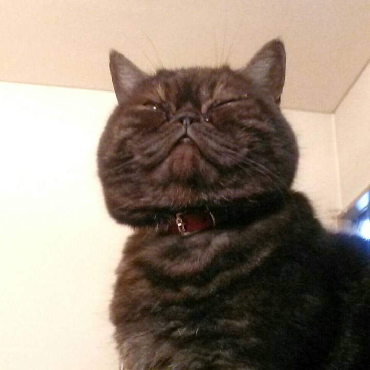 C68153b6 fd21 4ef9 a6d4 8b4e9c28a139 1514876414785