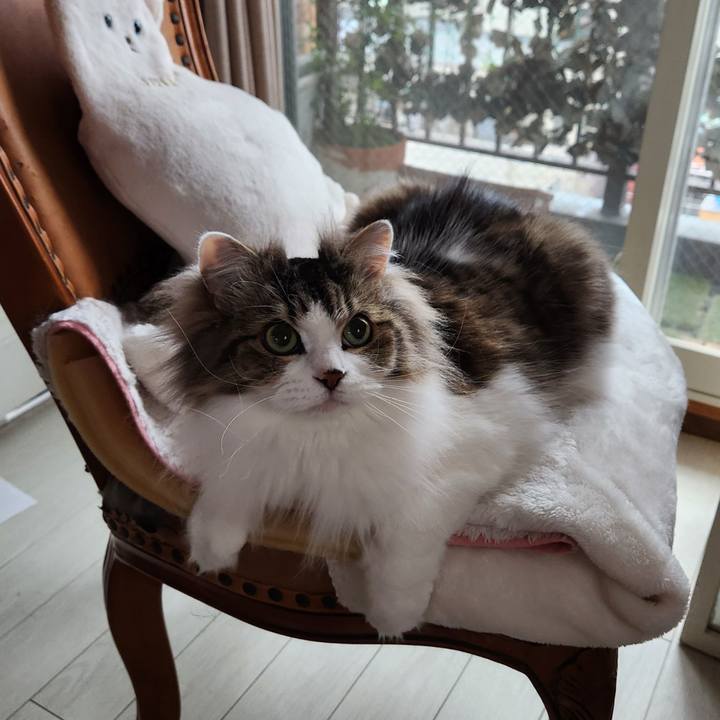 C681cfcb b5fe 4999 9de2 7fb0f2d8df42 1713911008668