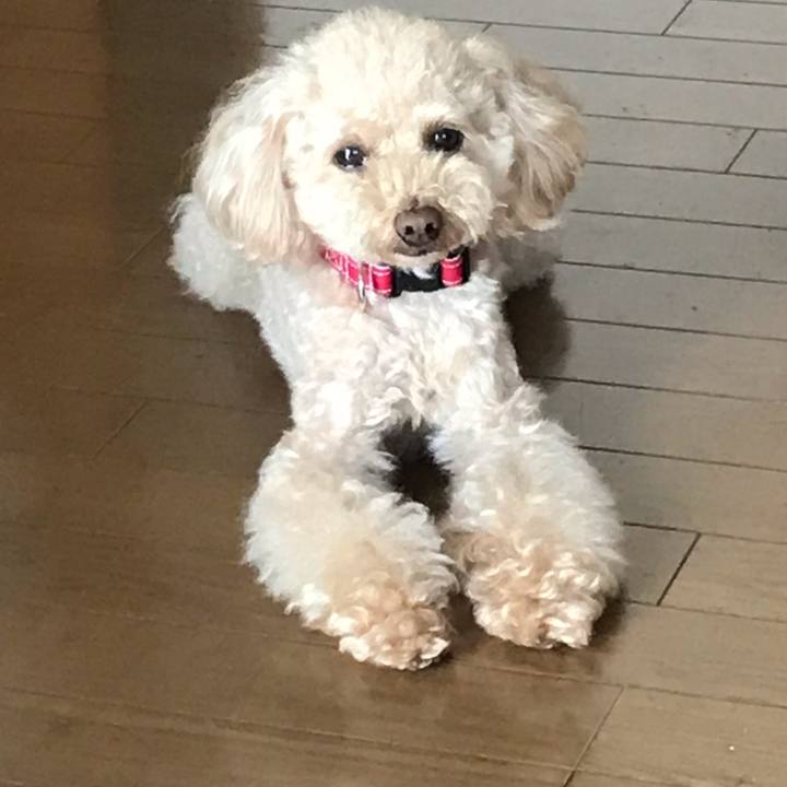 C681e987 ca80 46d1 a950 2f95ca0e8dbc 1598613879378