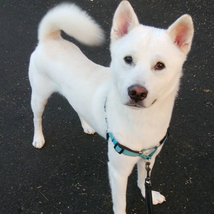 C681f913 c74d 4c20 a8ef 8380eefa9efd 1541964053452