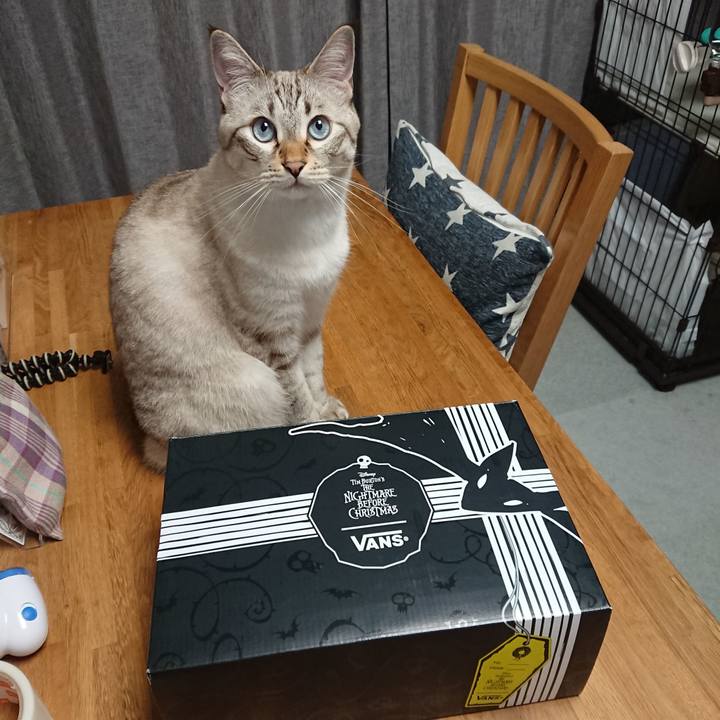 C68222b5 54dd 4972 b55d 8fb6148d0643 1570533301305