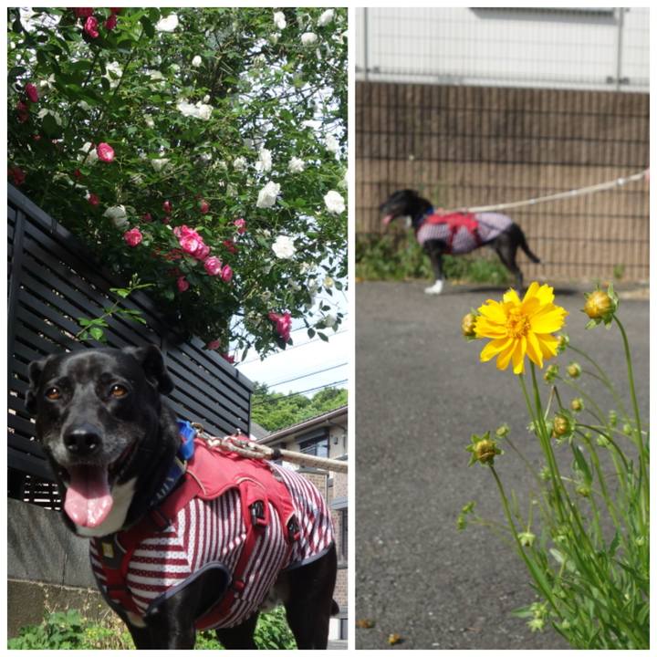 C68249e6 916a 4754 911b e0d0089dabba 1683335759016