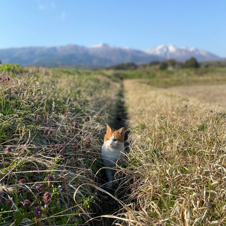 C68255a6 4638 47ba a530 37c0126f7c79 1680517863800