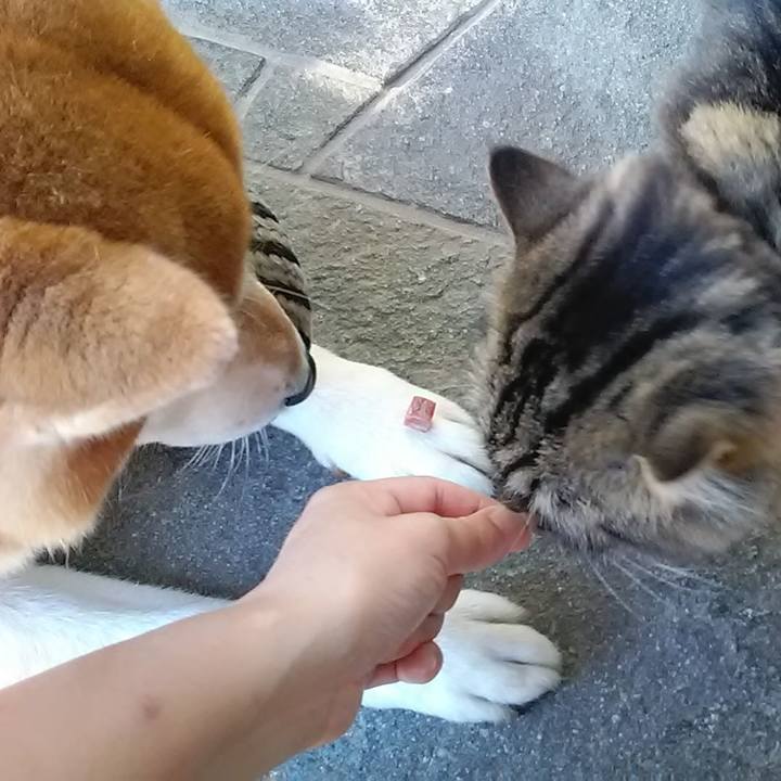 C682567b 642d 4eda bf82 2b238127fbe5 1601612341030