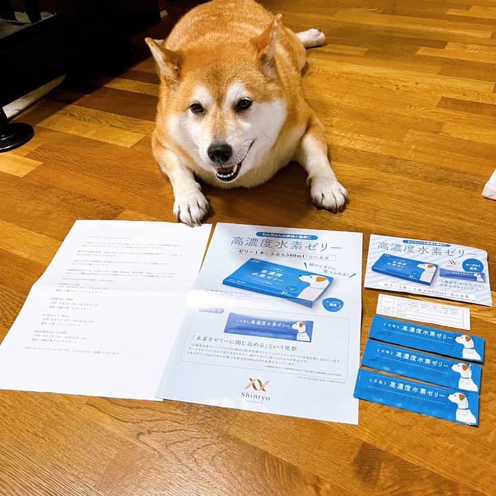 C68288c3 baa5 452b a3ef a3dea2b4d56a 1656570815492