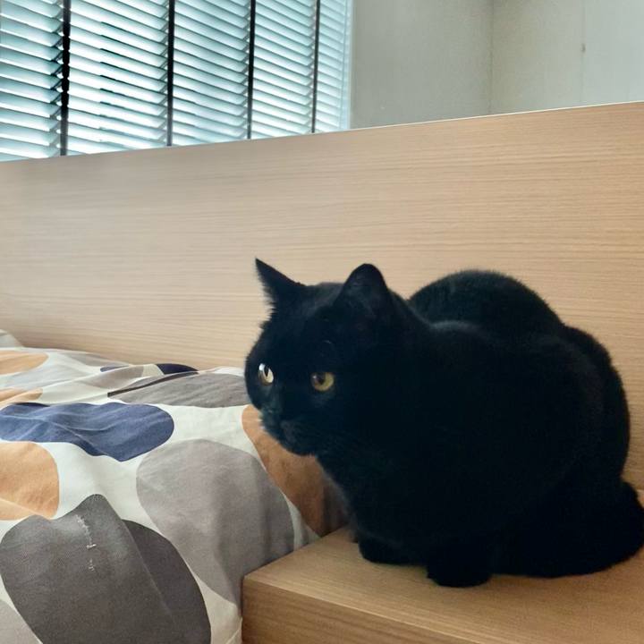 C68290c2 8d8c 4861 8bd3 889de5fb4990 1735182085581