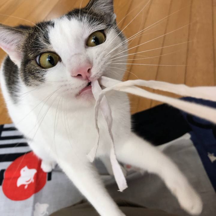 C682946e 9d06 48b5 b606 fbc1a31e1176 1597057436379