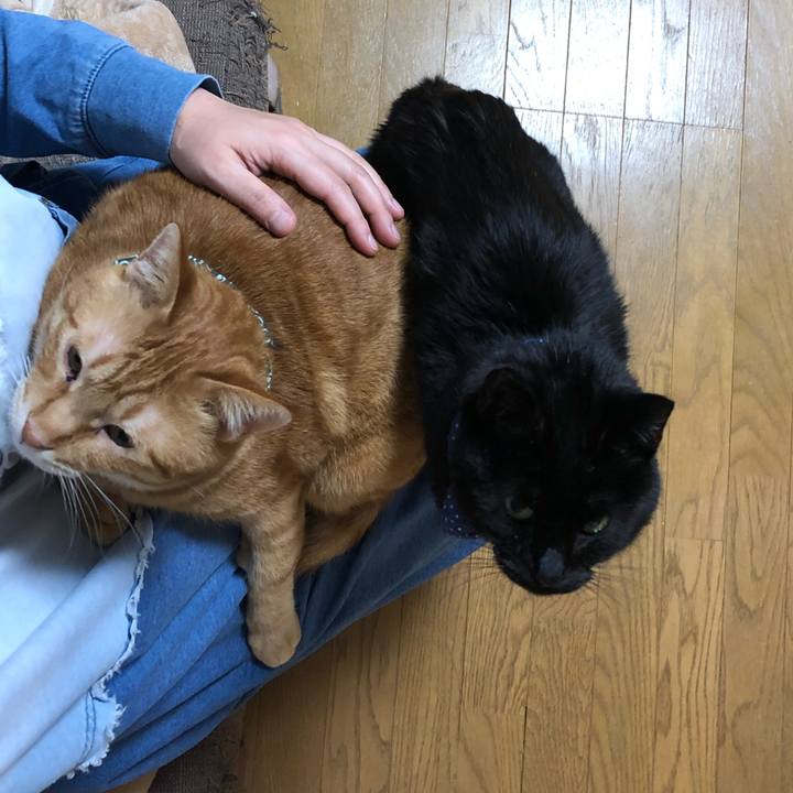 C682cdf4 5ec4 4990 95f4 22e6f79efb23 1553776804553