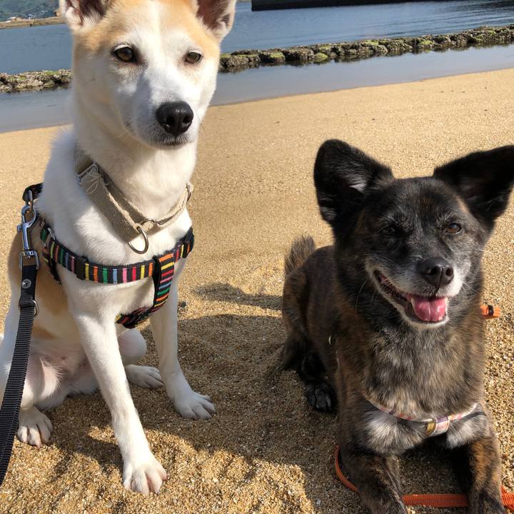 C682e217 f0d2 4202 967b fb1a6059a421 1590144894486