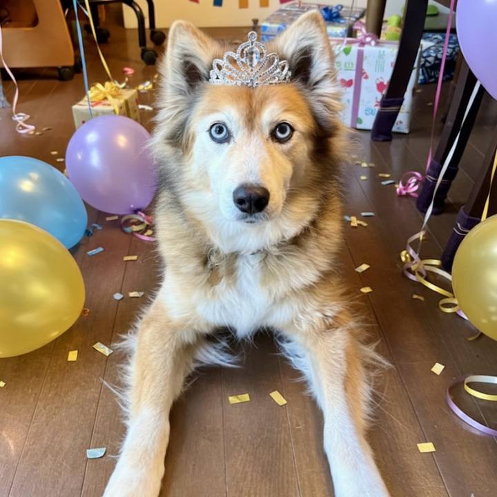 C682ef98 028f 4eac 8efe bd98c06a1e39 1768789029776