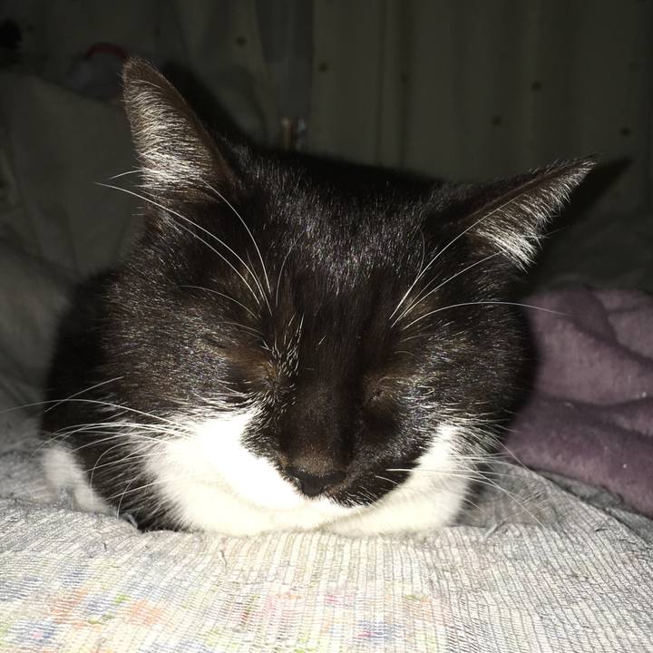 C682f6b9 89e9 47ee ab1f be09639ead69 1523474008660