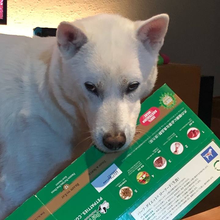 C68325c7 bd60 4cae a2d0 e17e6fefd163 1582862274167