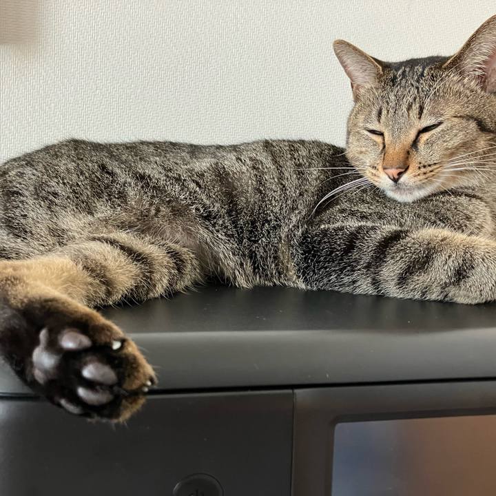 C68338c5 da37 4d3d b25f 185d73db17de 1758159679513